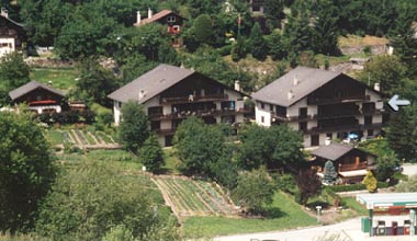 appartement no 23 Myrtilles