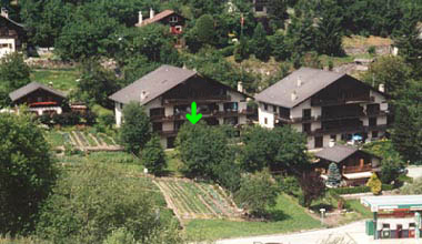appartement no 50 Prunelles